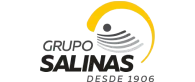 grupo-salinas